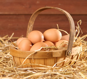 Fresh eggs from your coop Fresh eggs from your coop
