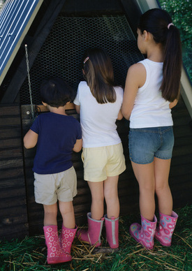 Kids at the chicken coop